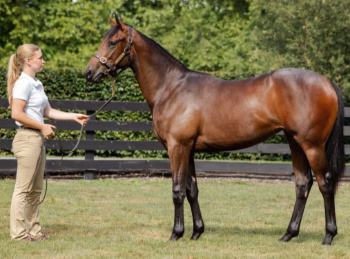 Latest Weekly Listings – Ocean Park, Pride of Dubai and Hellbent